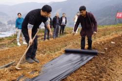 赤峰夏華電動(dòng)工具電話地址