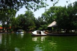 赤峰植物批發(fā)市場(chǎng)電話地址查詢