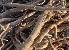 赤峰黃芪加工廠電話號(hào)碼查詢