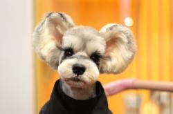 赤峰貝斯寵物生活館電話號(hào)碼