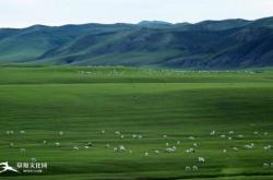 內蒙赤峰阿旗敬老院電話號碼