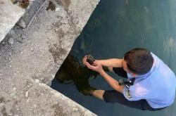 赤峰市拉魚車租賃電話號碼