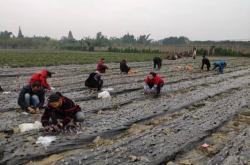 赤峰種車?yán)遄踊仉娫捥柎a