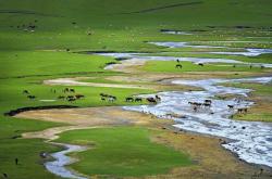 赤峰諾伯洗衣店電話地址查詢