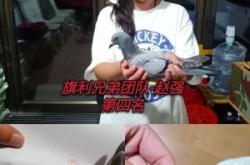 赤峰市貓咪寄養(yǎng)電話號(hào)碼查詢