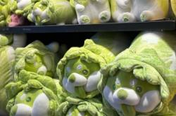 赤峰摩爾城小奶龍店電話號碼