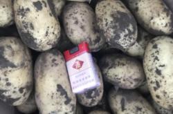 赤峰洗護批發(fā)市場電話號碼