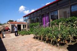 赤峰紅山區(qū)足療店電話號(hào)碼