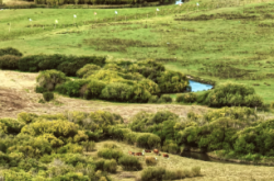 赤峰艾美民宿電話號碼多少