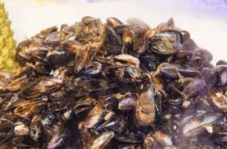 赤峰磊哥海鮮店地址電話號碼