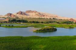 赤峰翁旗旅游局局長電話號碼