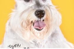 赤峰市親子照相館電話號(hào)碼