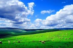 赤峰晴天照相館電話號(hào)碼查詢