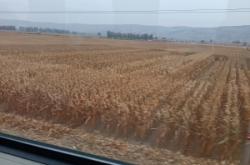 赤峰市三興莊社區(qū)電話號碼