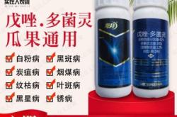 赤峰赤輪教育電話號(hào)碼查詢是多少