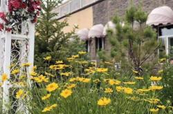 赤峰花甸鮮花店地址電話號碼