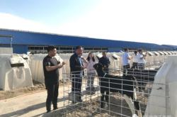 赤峰阿旗姚家段社區(qū)電話是多少