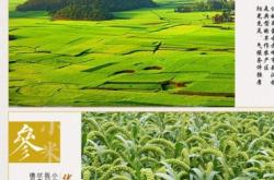 赤峰包裝盒推薦廠家電話是多少