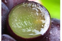 赤峰生鮮水果團(tuán)購平臺電話號碼