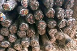 赤峰礦用電纜線回收電話號碼