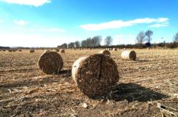 赤峰市安慶溝鎮(zhèn)飯店電話號碼