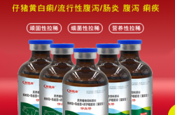 赤峰市出售豬苗電話號(hào)碼是多少