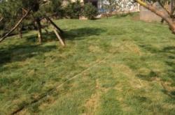 赤峰紅山郡自來(lái)水廠電話號(hào)碼