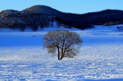 赤峰市錫伯河冬泳館電話號碼