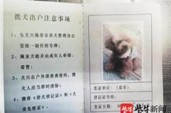 赤峰新年?duì)I業(yè)的寵物店電話號碼