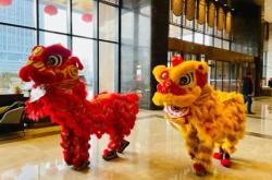 赤峰市舞獅協(xié)會(huì)電話是多少號(hào)