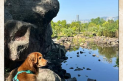 赤峰露營基地價格查詢電話號碼