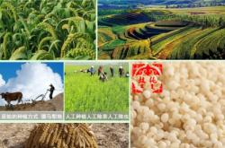 赤峰敖漢奶制品廠電話號碼