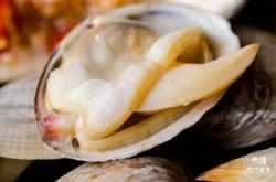 奇士烤肉赤峰店電話多少號