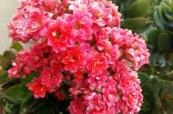 赤峰喀喇沁地鍋店電話號(hào)碼