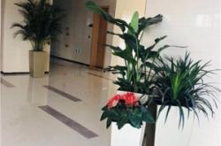 赤峰高位碼垛機租賃電話號碼