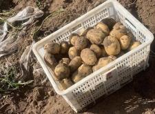 赤峰林西疫情報(bào)告電話查詢