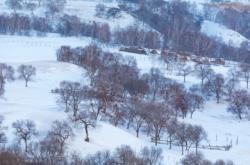 赤峰烏蘭布統(tǒng)飯店電話號碼多少