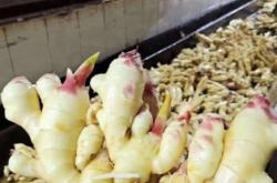 赤峰炒貨機(jī)批發(fā)電話號(hào)碼多少