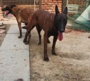 赤峰紅馬快餐店電話地址查詢