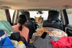 赤峰威蘭達(dá)車隊(duì)電話號(hào)碼查詢