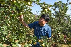 赤峰寧城綠植店電話多少號(hào)