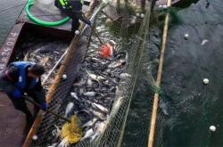 赤峰紫蒙湖路況查詢電話號(hào)碼