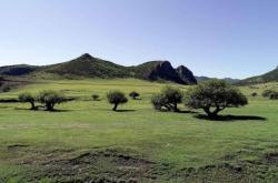 赤峰玉龍無人機廠家電話號碼