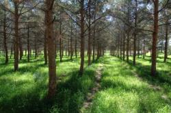 赤峰橋北雜技團電話地址查詢