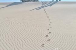 赤峰牛大骨餐館電話號碼多少