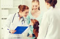 赤峰市獸醫(yī)診所電話號碼查詢