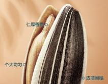 赤峰瓜子盒裝廠家電話多少號