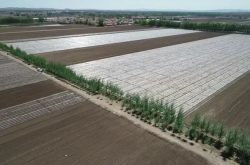 赤峰太平地鎮(zhèn)農(nóng)業(yè)局電話號(hào)碼