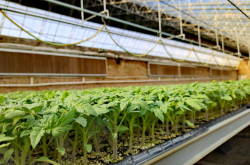 內(nèi)蒙古赤峰市良種場(chǎng)