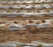 赤峰市美林鎮(zhèn) 物流電話號碼